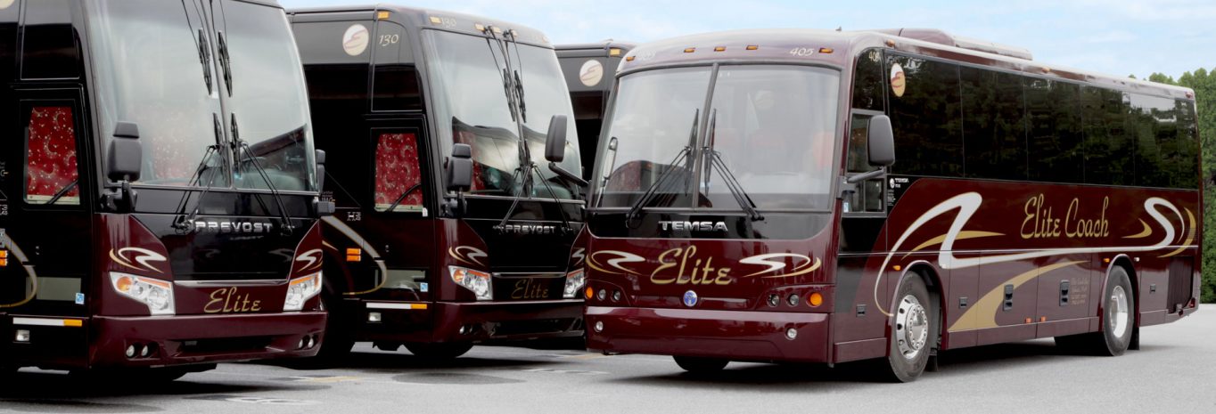 elite tours and charter
